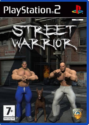 Street Warrior - Playstation 2 Games